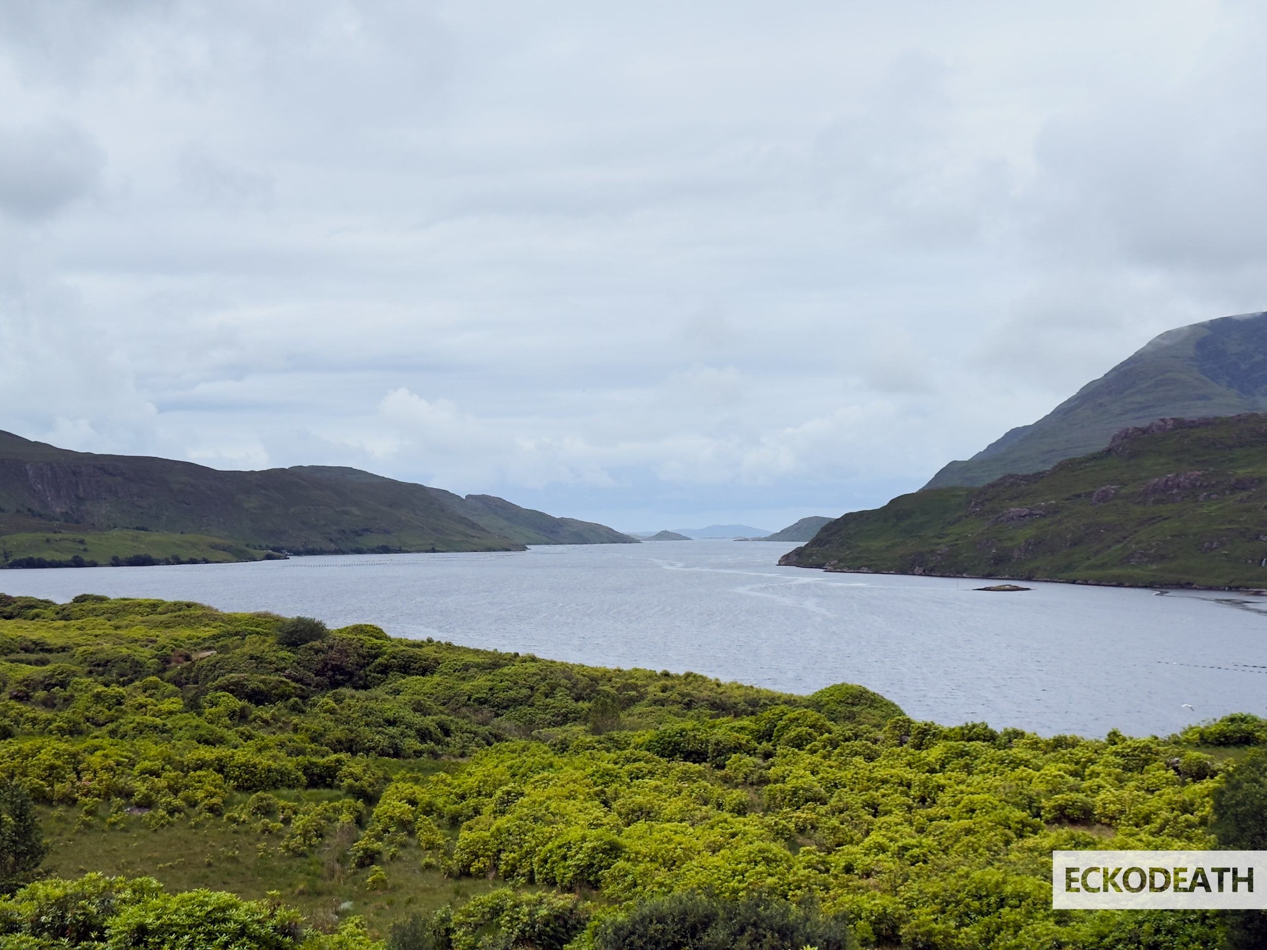 Image un peu plus large que le texte