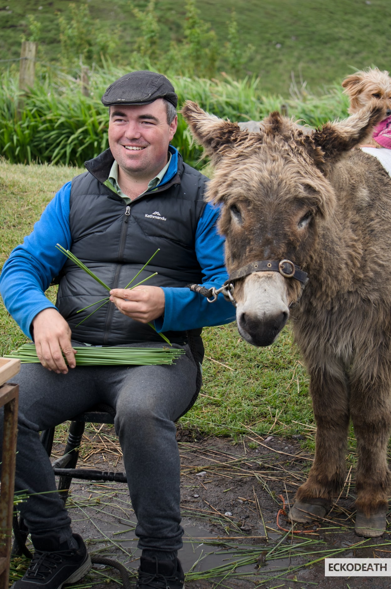 Image un peu plus large que le texte