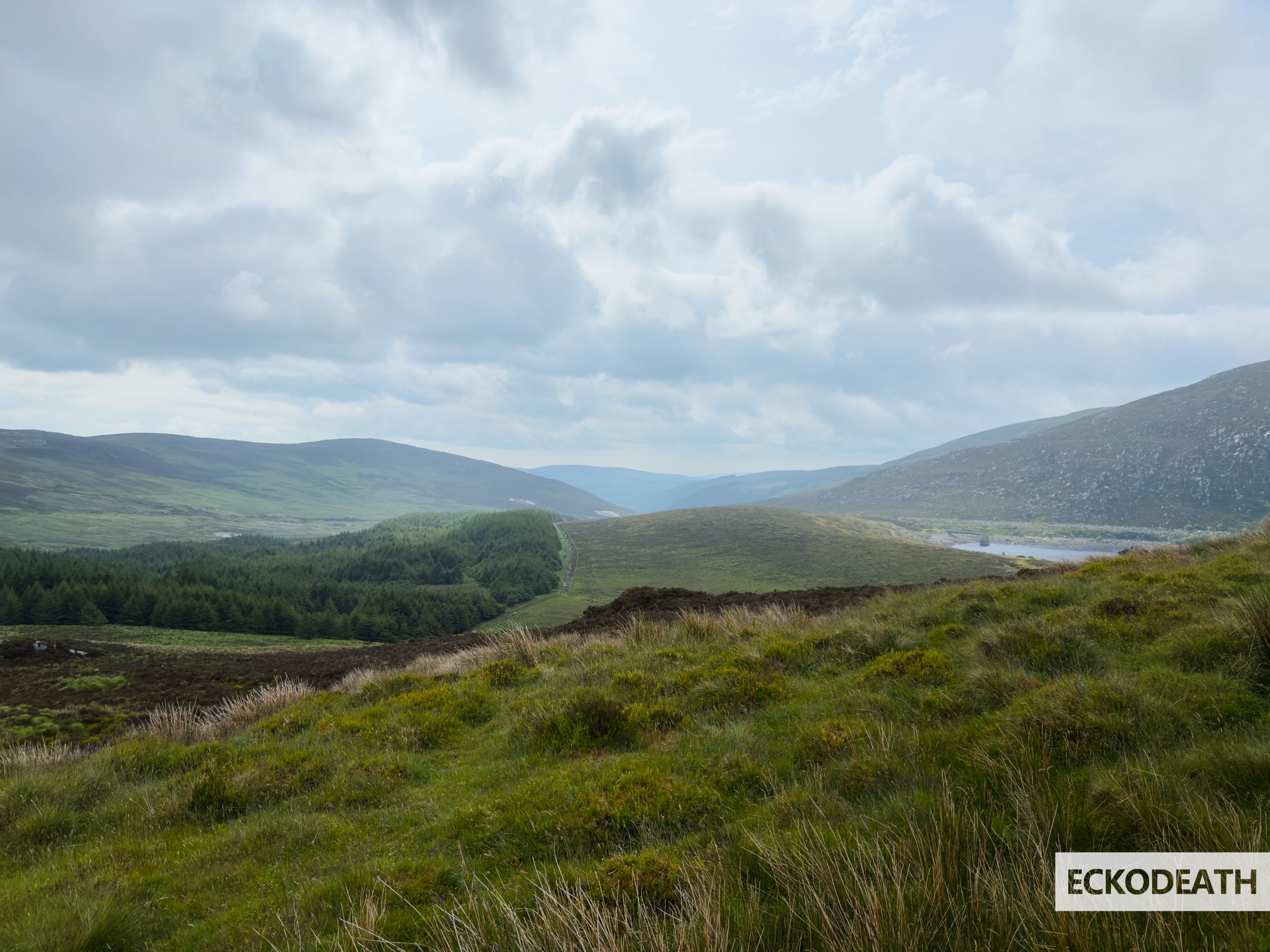 Image un peu plus large que le texte