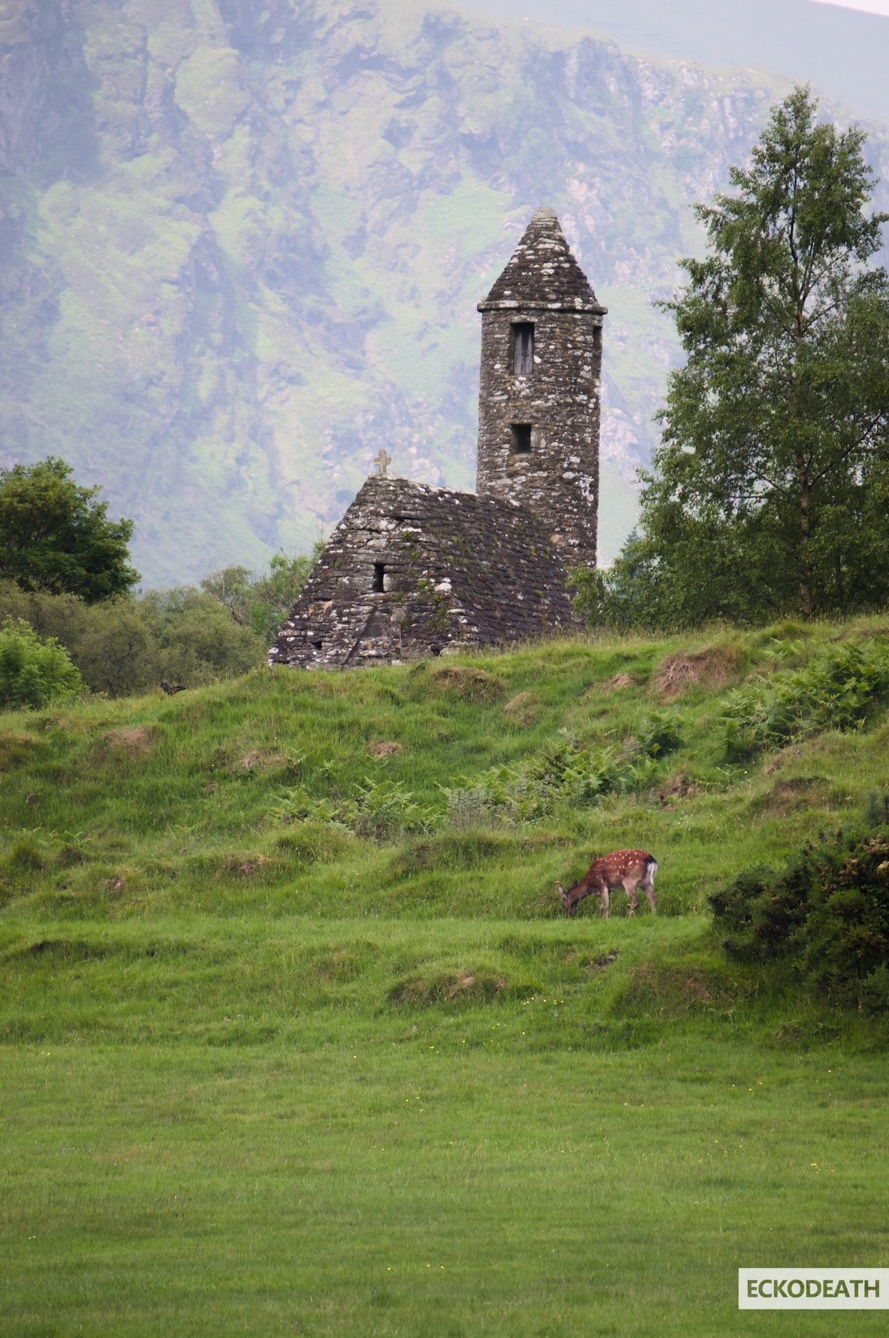 Image un peu plus large que le texte